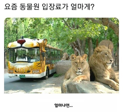 부장님 개그