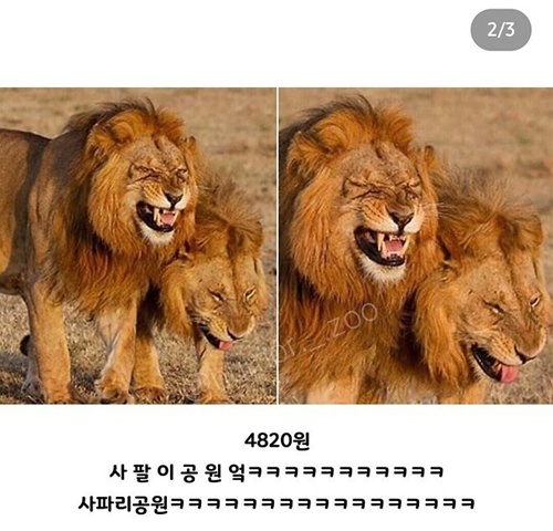 부장님 개그