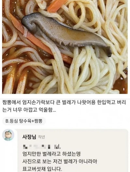 무식한 건 자랑이 아니니 티를 내지마라