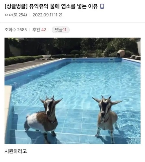 끄덕끄덕